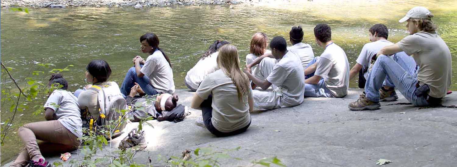 group of interns sitting along the bank of a creek